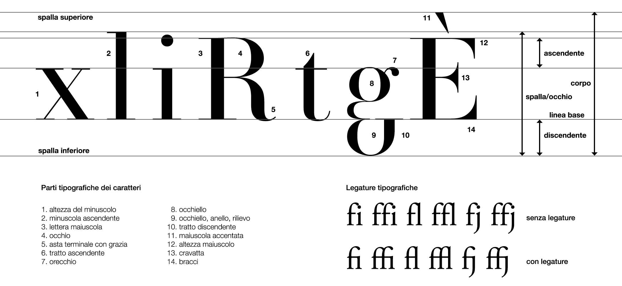 La Tipografia Nel Design Una Scelta Di Font Blografik